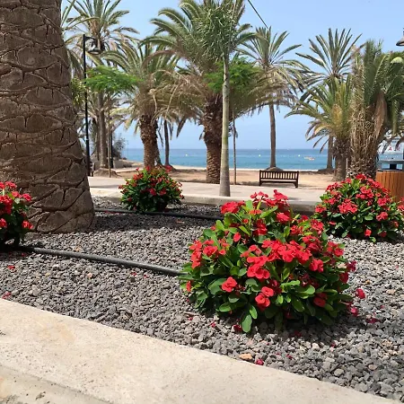 Playa Honda Ocean View Apartment - Tenerife * Playa de las Americas (Tenerife)